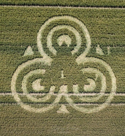 cropcircle2020frome.jpg