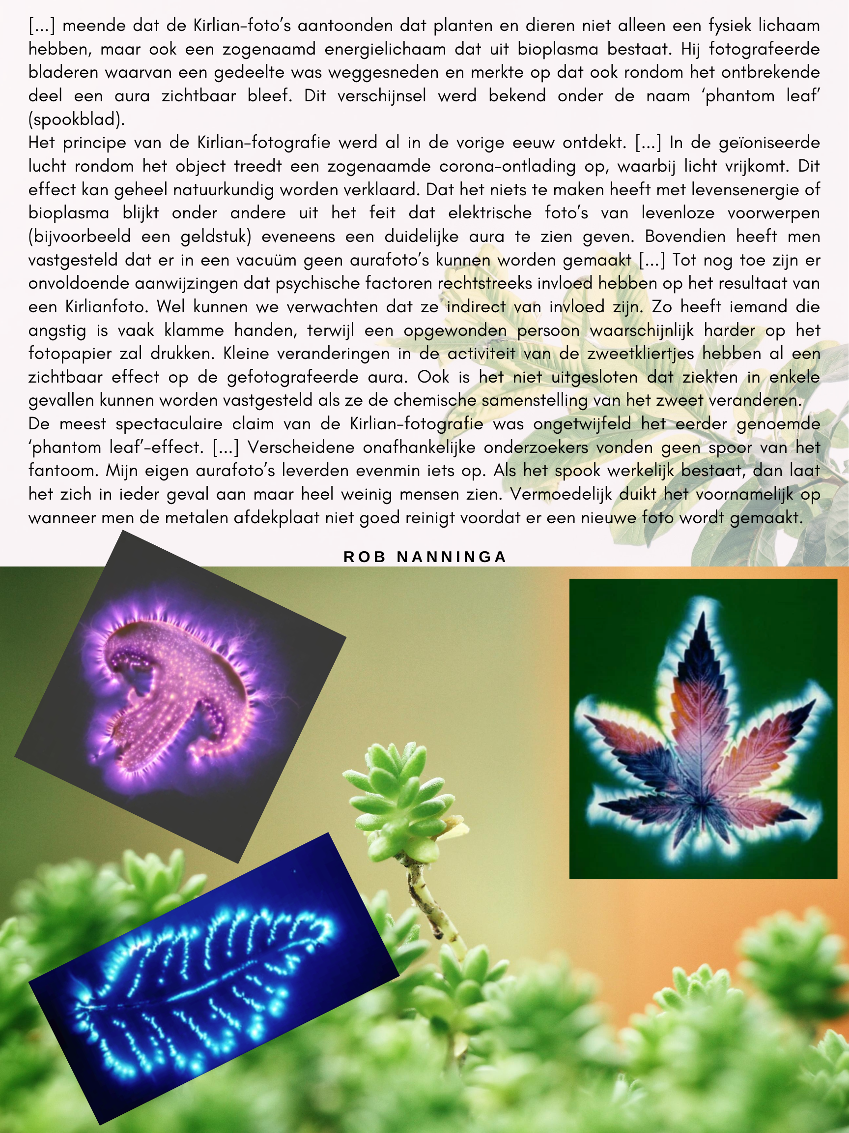Rob Nanninga quote

[...] meende dat de Kirlian-foto’s aantoonden dat planten en dieren niet alleen een fysiek lichaam hebben, maar ook een zogenaamd energielichaam dat uit bioplasma bestaat. Hij fotografeerde bladeren waarvan een gedeelte was weggesneden en merkte op dat ook rondom het ontbrekende deel een aura zichtbaar bleef. Dit verschijnsel werd bekend onder de naam ‘phantom leaf’ (spookblad).
Het principe van de Kirlian-fotografie werd al in de vorige eeuw ontdekt. [...] In de geïoniseerde lucht rondom het object treedt een zogenaamde corona-ontlading op, waarbij licht vrijkomt. Dit effect kan geheel natuurkundig worden verklaard. Dat het niets te maken heeft met levensenergie of bioplasma blijkt onder andere uit het feit dat elektrische foto’s van levenloze voorwerpen (bijvoorbeeld een geldstuk) eveneens een duidelijke aura te zien geven. Bovendien heeft men vastgesteld dat er in een vacuüm geen aurafoto’s kunnen worden gemaakt [...] Tot nog toe zijn er onvoldoende aanwijzingen dat psychische factoren rechtstreeks invloed hebben op het resultaat van een Kirlianfoto. Wel kunnen we verwachten dat ze indirect van invloed zijn. Zo heeft iemand die angstig is vaak klamme handen, terwijl een opgewonden persoon waarschijnlijk harder op het fotopapier zal drukken. Kleine veranderingen in de activiteit van de zweetkliertjes hebben al een zichtbaar effect op de gefotografeerde aura. Ook is het niet uitgesloten dat ziekten in enkele gevallen kunnen worden vastgesteld als ze de chemische samenstelling van het zweet veranderen.
De meest spectaculaire claim van de Kirlian-fotografie was ongetwijfeld het eerder genoemde ‘phantom leaf’-effect. [...] Verscheidene onafhankelijke onderzoekers vonden geen spoor van het fantoom. Mijn eigen aurafoto’s leverden evenmin iets op. Als het spook werkelijk bestaat, dan laat het zich in ieder geval aan maar heel weinig mensen zien. Vermoedelijk duikt het voornamelijk op wanneer men de metalen afdekplaat niet goed reinigt voordat er een nieuwe foto wordt gemaakt.

Rob Nanninga