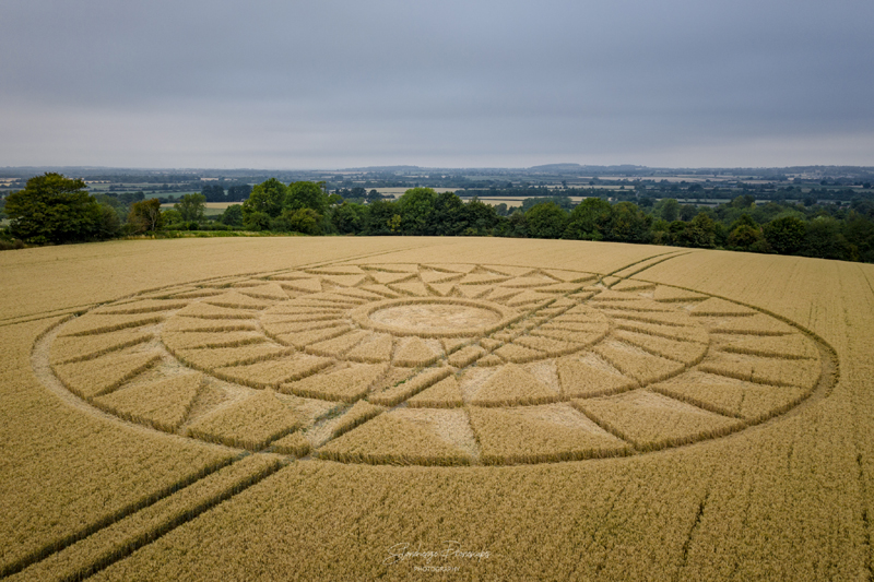 cropcircles2020woolstone.jpg
